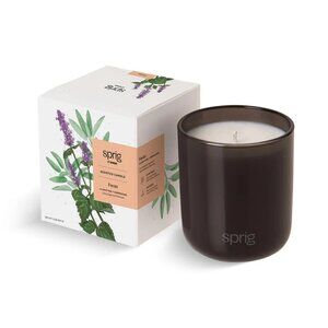 Sprig by Kohler Candle - Focus New in Box